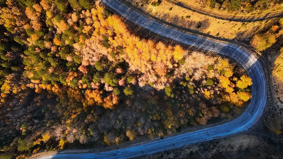 Emet’teki Kavaklar Sonbahar Renklerinde