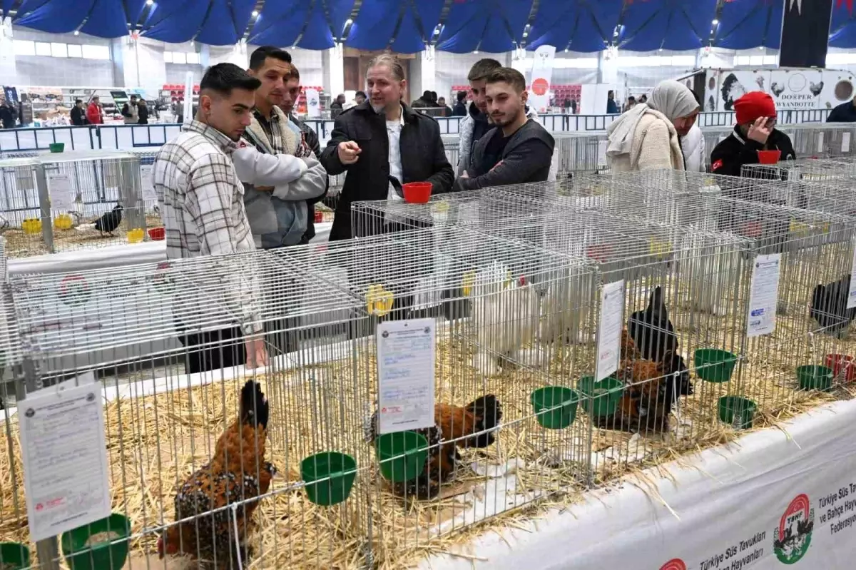 Isparta’da 8. Ulusal Kümes Hayvanları Gösterisi Düzenlendi